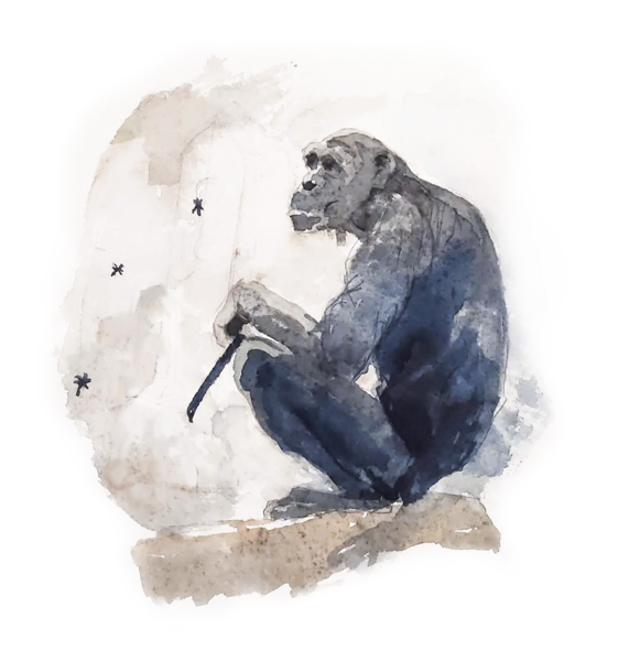A lovely chimp doing a cave painting ...